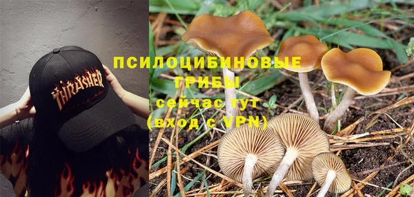 дживик Вязьма