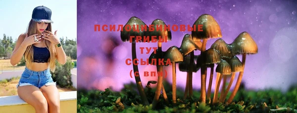 дживик Вязьма
