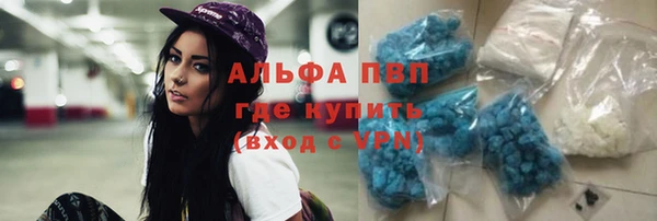 дживик Вязьма
