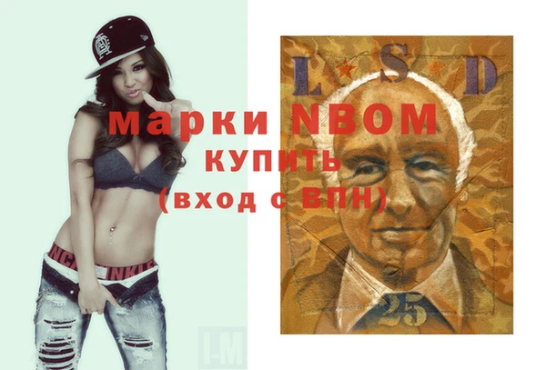 дживик Вязьма