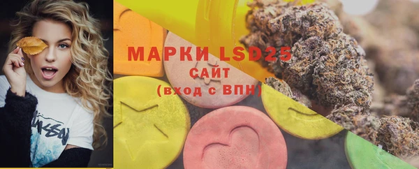 амф Михайловск